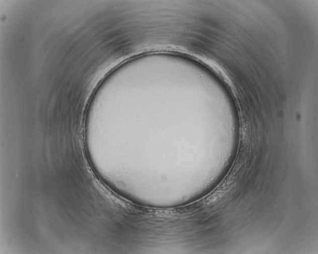 X0000071770903200607282210