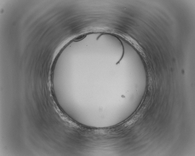 X0000071770904200607282210