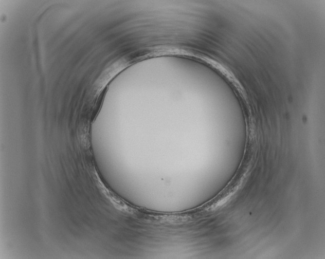 X0000071770905200607282210