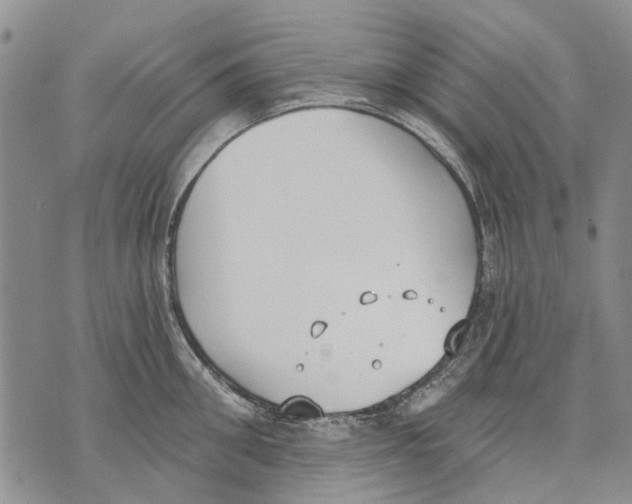 X0000071770906200607282210