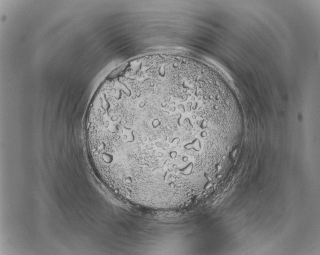 X0000071770907200607282210