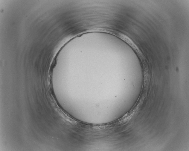 X0000071770908200607282210