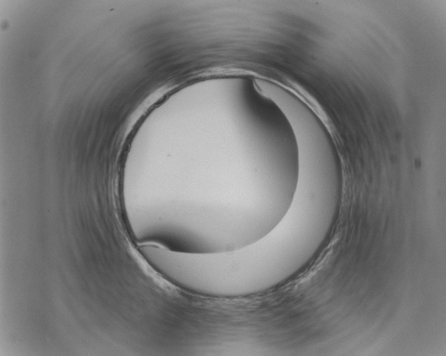 X0000071770909200607282210