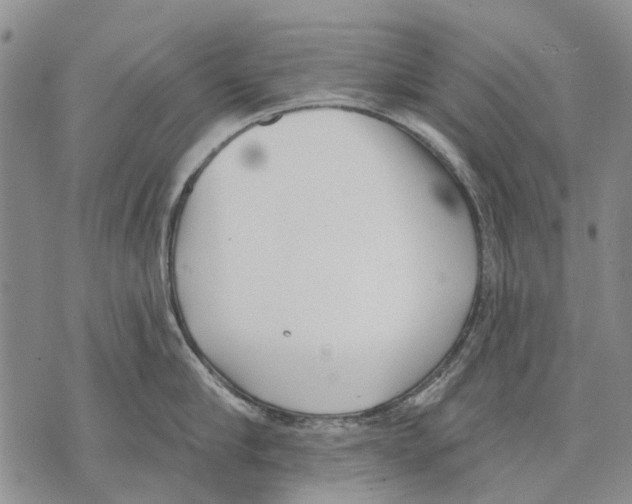 X0000071770910200607282210