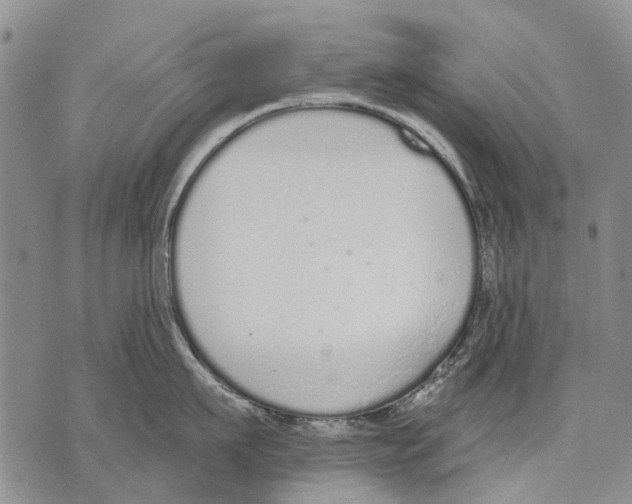 X0000071770911200607282210