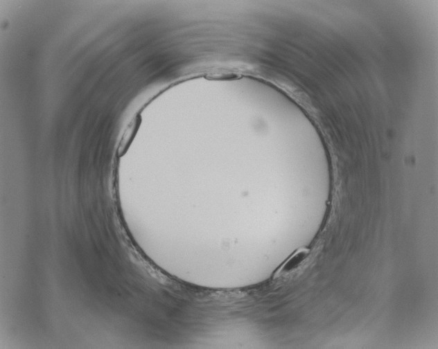 X0000071770912200607282210