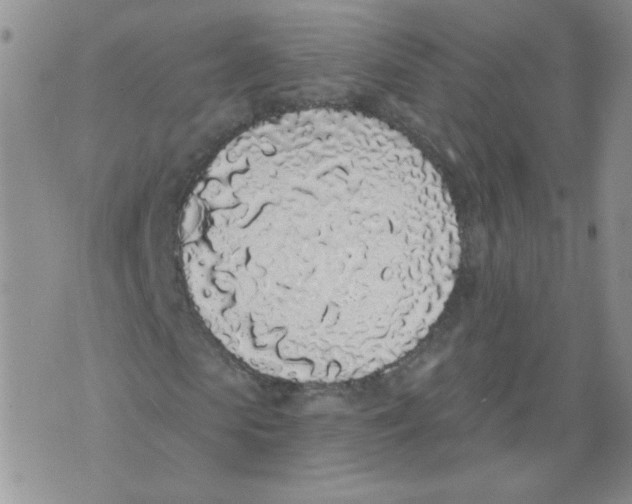 X0000071770913200607282209