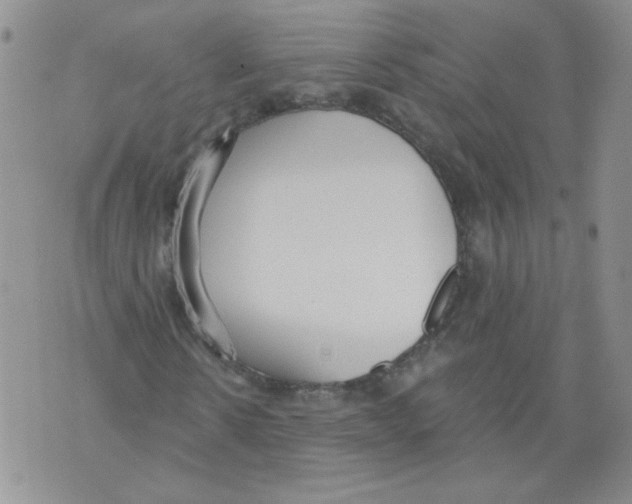 X0000071770914200607282209