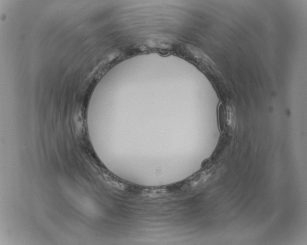 X0000071770915200607282209