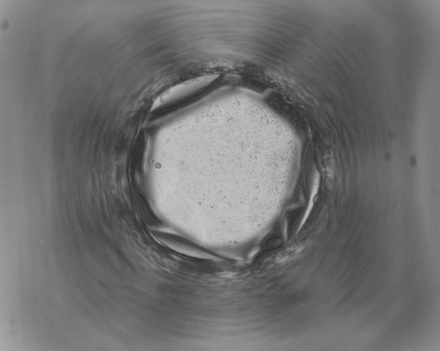 X0000071770916200607282209