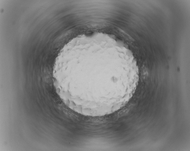 X0000071770917200607282209