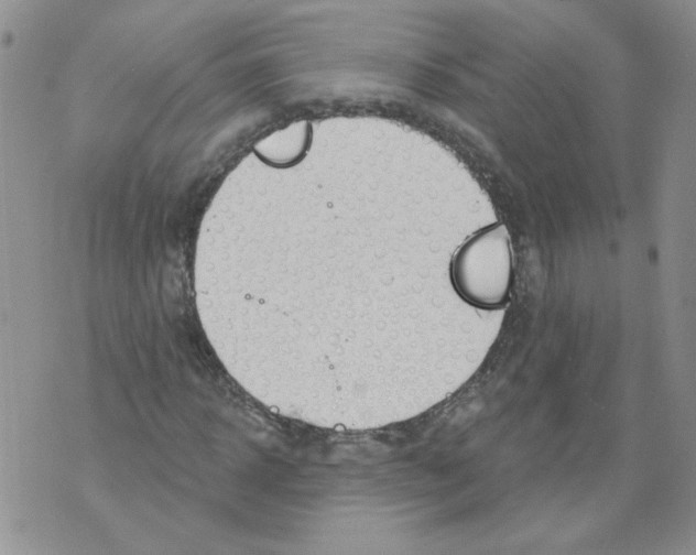 X0000071770918200607282209