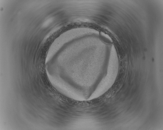 X0000071770919200607282209