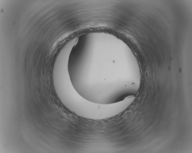 X0000071770920200607282209