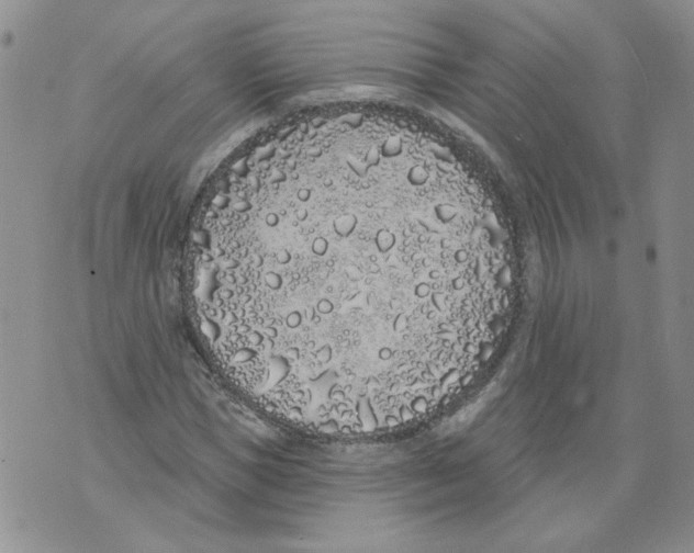 X0000071770921200607282209