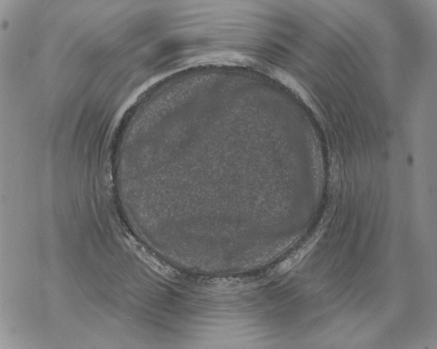 X0000071770923200607282209