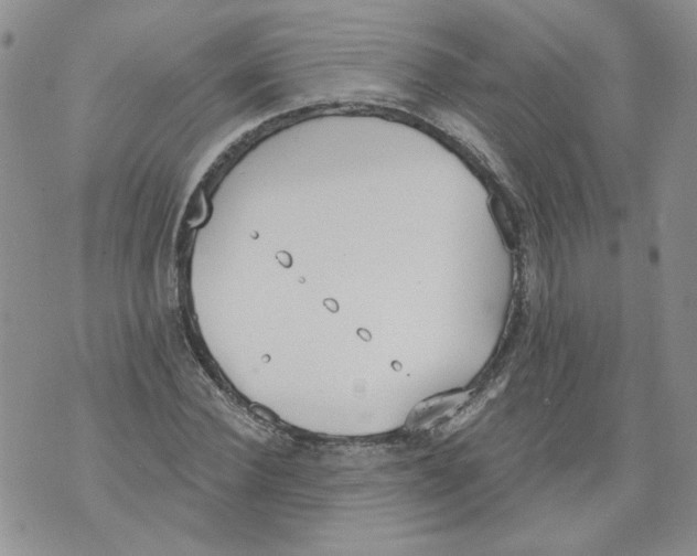 X0000071770924200607282209