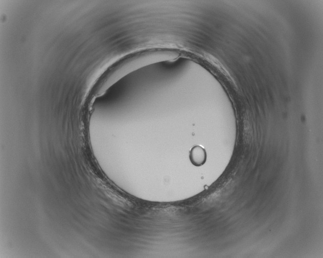 X0000071770926200607282209