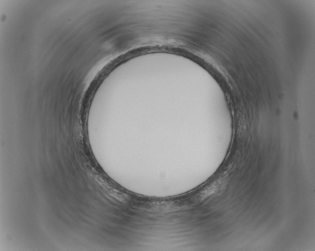 X0000071770927200607282209