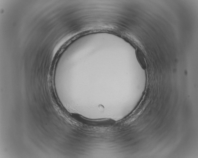 X0000071770928200607282209