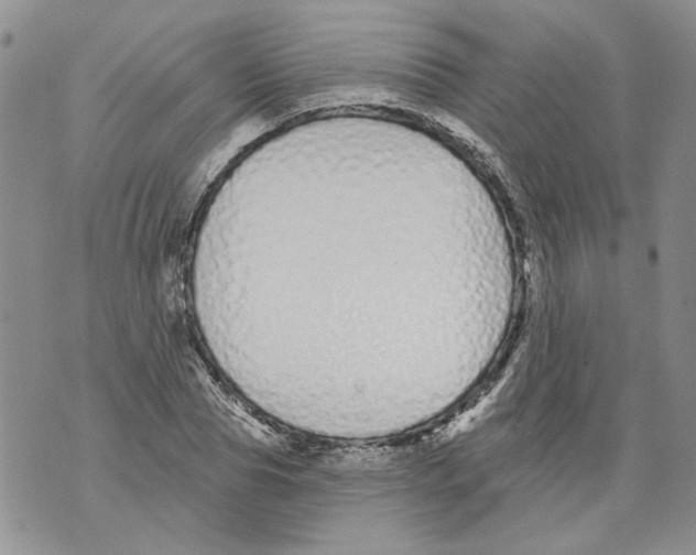 X0000071770929200607282209