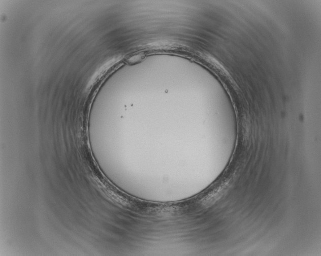 X0000071770930200607282209