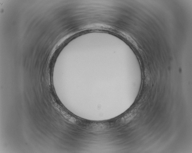 X0000071770931200607282209