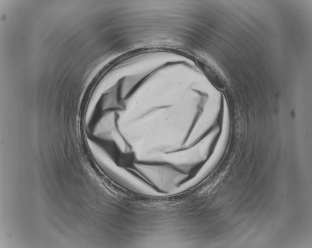 X0000071770932200607282209