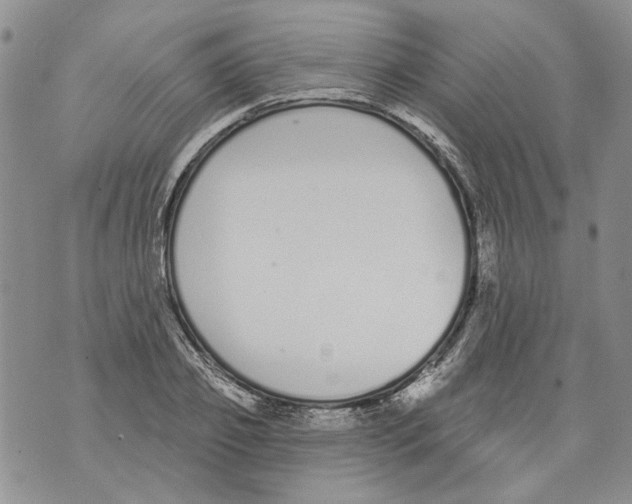 X0000071770933200607282209