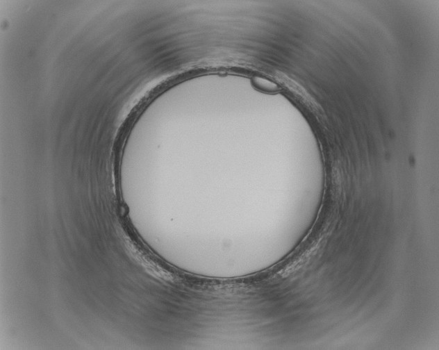 X0000071770934200607282209