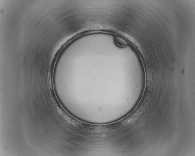 X0000071770935200607282209