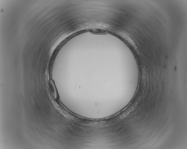 X0000071770936200607282209