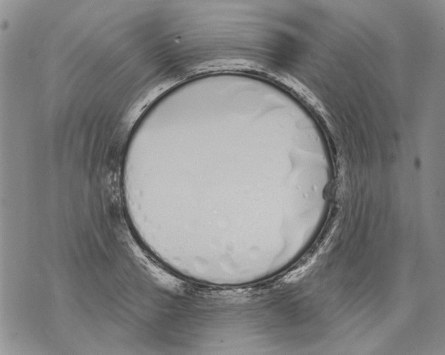 X0000071770937200607282209