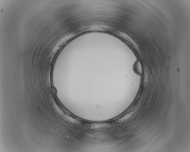 X0000071770938200607282209