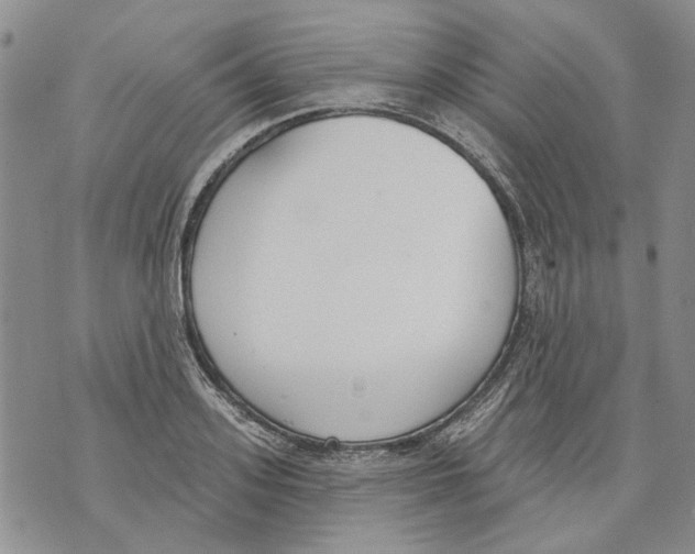 X0000071770939200607282209