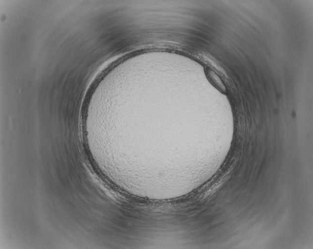 X0000071770940200607282209