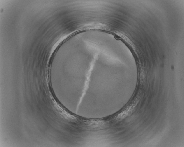 X0000071770941200607282209