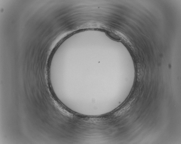 X0000071770942200607282209