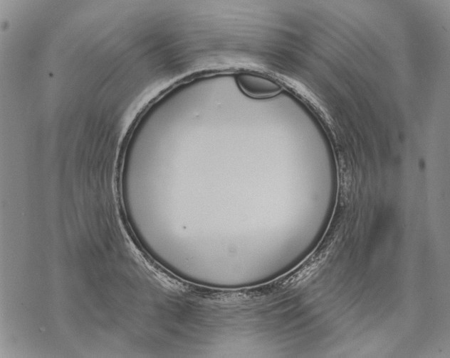 X0000071770943200607282210