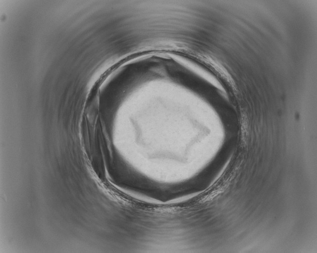 X0000071770944200607282210