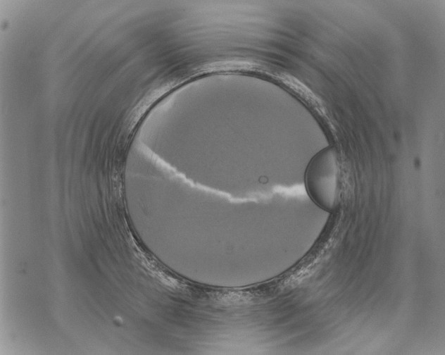 X0000071770945200607282210