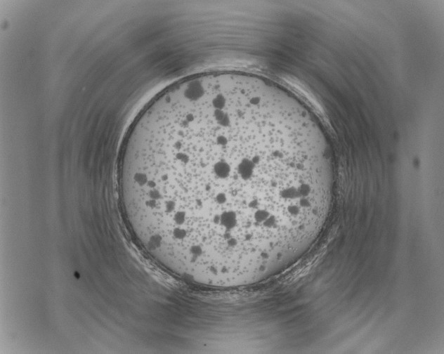 X0000071770948200607282210