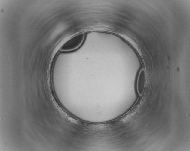 X0000071770949200607282210