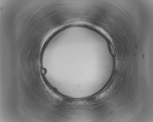 X0000071770951200607282210