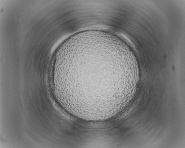 X0000071770952200607282210