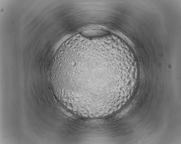 X0000071770953200607282210