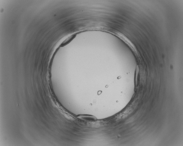 X0000071770956200607282210