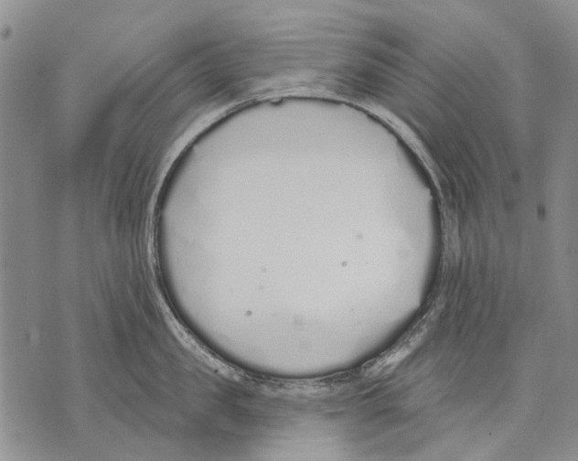 X0000071770957200607282210