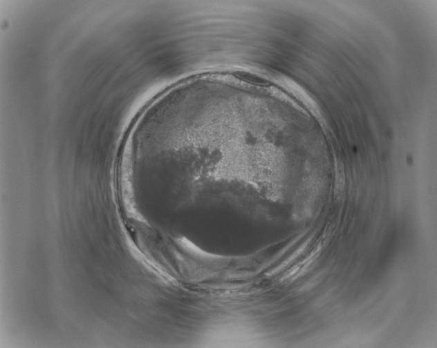 X0000071770958200607282210