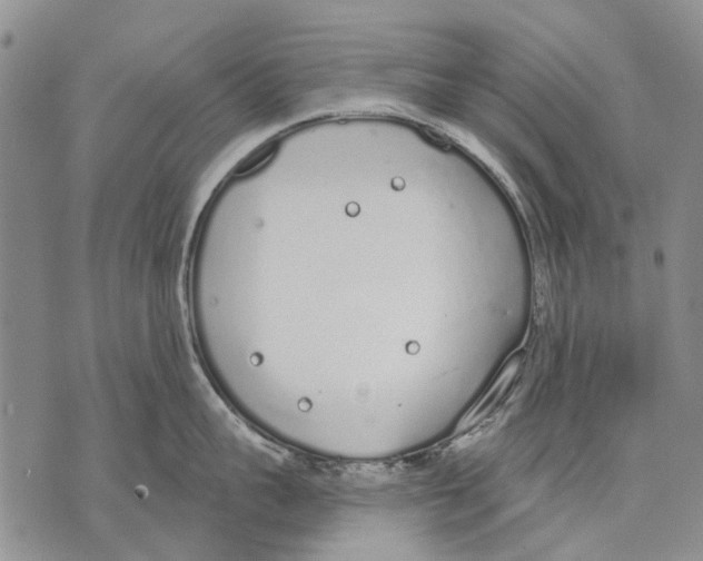 X0000071770959200607282210